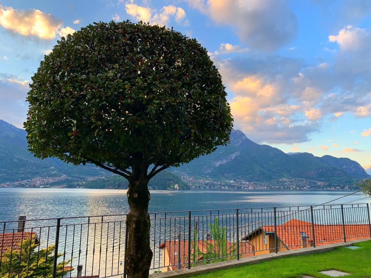Residence Molinari Lake Como Lezzeno Extérieur photo